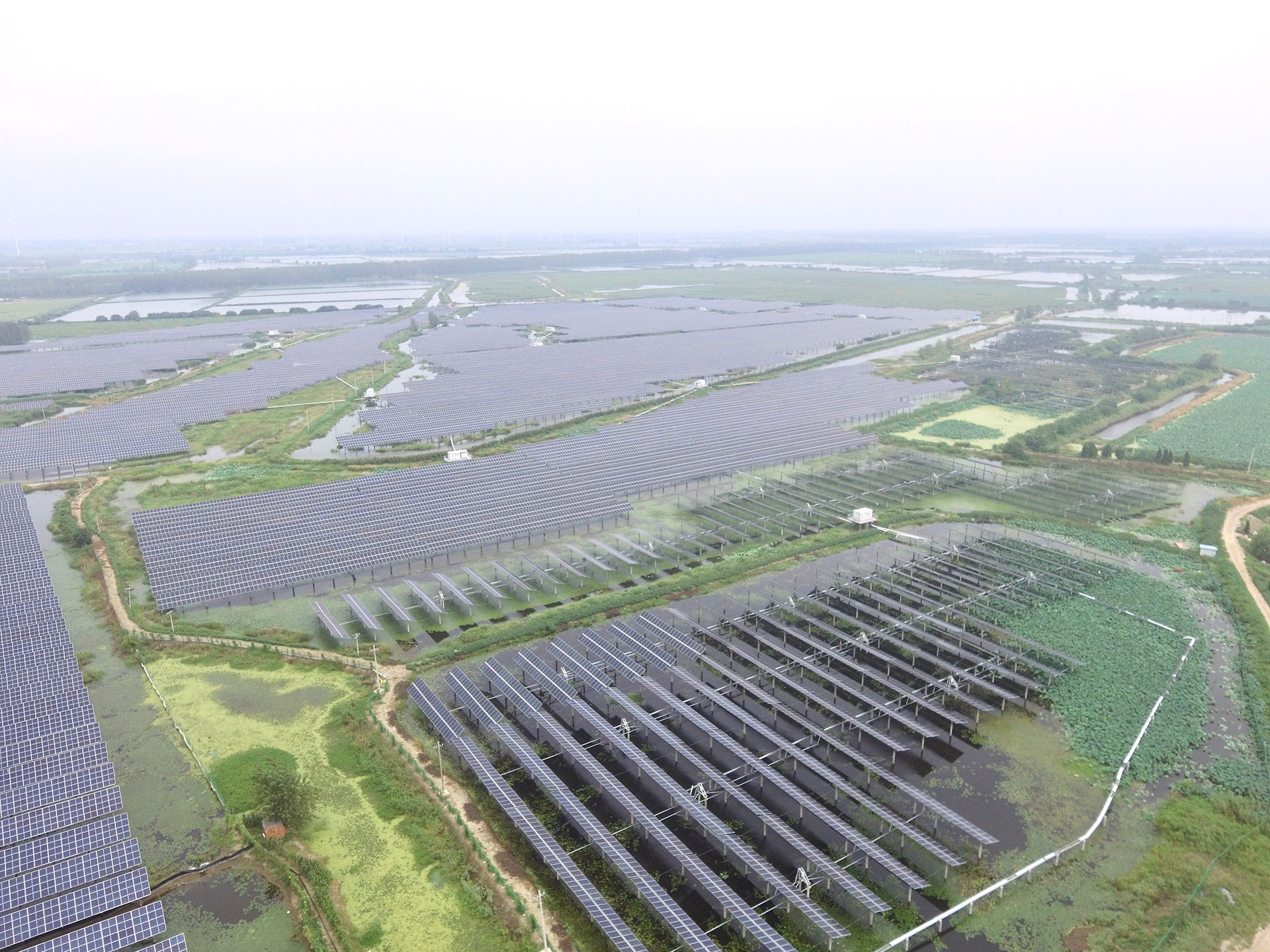 金年会科技江苏扬州宝应光伏发电应用领跑基地2号100兆瓦项目